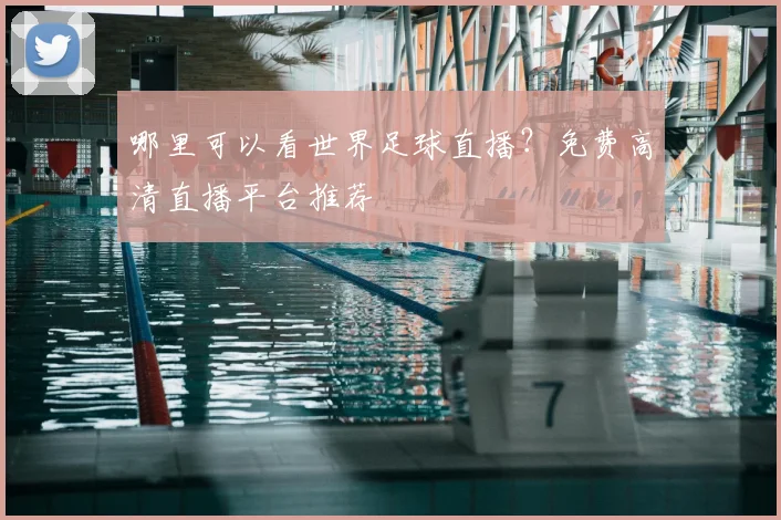 哪里可以看世界足球直播？免费高清直播平台推荐